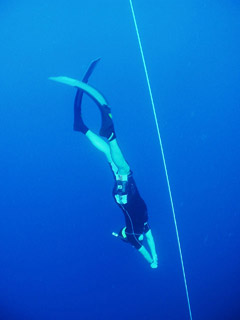 dive!